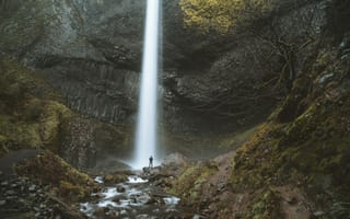 Картинка природный заповедник, водные элементы, вода, Орегон, старовозрастные леса