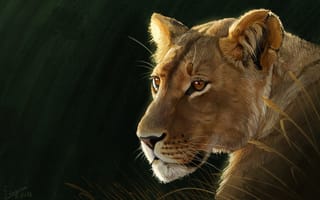 Картинка хищник, наземные животные, Лев, Восточно африканский Лев, морда