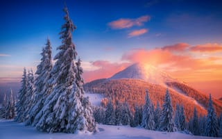 Картинка гора, зима, снег, дерево, природа