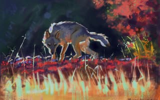 Картинка волк, акриловая краска, живопись, арт, живая природа