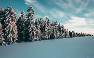 Картинка дневное время, дерево, зима, синий, гора