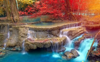 Картинка водопад, дерево, вода, растение, гидроресурсы