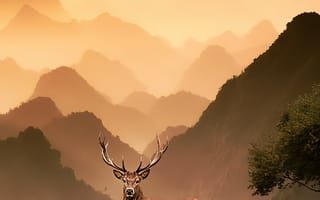 Картинка гора, экорегион, природный ландшафт, окружающая среда, нагорье