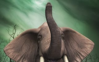 Картинка Слон, живопись, арт, красить бриллиантами, постер