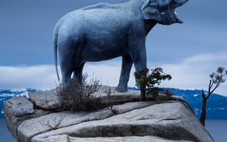 Картинка вода, свет, растение, скульптура, облако