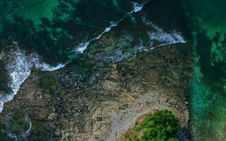 Картинка растительность, вода, местность, природный ландшафт, водоток