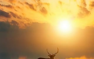 Картинка облако, атмосфера, послесвечение, свет, экорегион