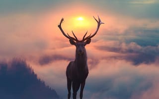 Картинка охотничья эстетика, олень, Северный олень, американский лось, лось