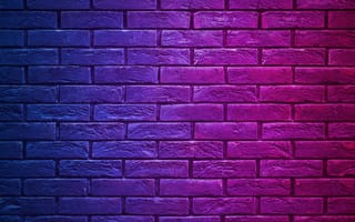 Картинка стена, болтать о любви, пурпур, песня, Лирика