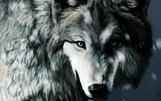 Картинка арктический волк, дизайн интерьера, глаз, фреска, собака породы