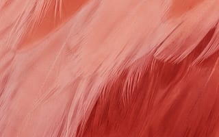 Картинка пиксель 7, Google, пиксель 6а, Google Pixel XL, пиксель 8