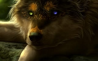 Картинка живопись, датский дог, кошачьих, глаз, бакенбарды