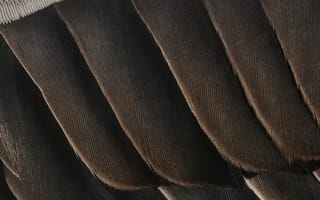 Картинка fhd, Google, пиксель 7 а, восьмиядерный, пиксельная складка