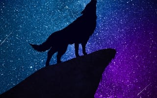 Картинка звезда, астрономический объект, Созвездие, Астрономия, ночь