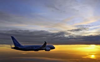 Картинка boeing 787 dreamliner, самолет, самолеты, Боинг, авиалайнер