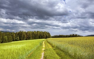 Картинка сенокосное угодье, экосистема, луг, облако