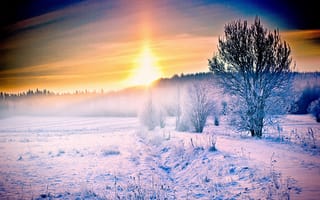 Обои снег, зима, природа, замораживание, утро
