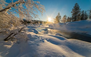 Картинка зима, снег, природа, замораживание, дерево
