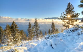 Картинка озеро Тахо, Южное Озеро Тахо, зима, дерево, снег