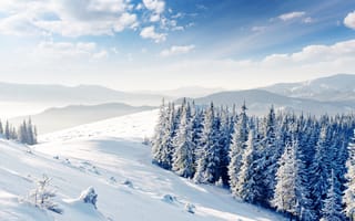 Картинка снег, зима, замораживание, горный рельеф, дерево
