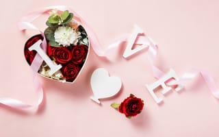 Картинка лепесток, подарок, флористика, День Святого Валентина, свадебная церемония поставки