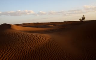Обои эрг, поющий песок, Дюна, пустыня, песок