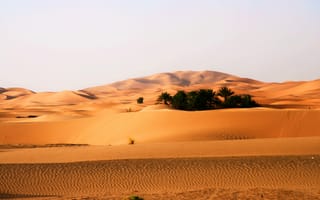 Обои эрг, пустыня, поющий песок, песок, сахара