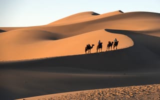 Картинка пустыня, песок, эолийские рельефы, сахара, эрг
