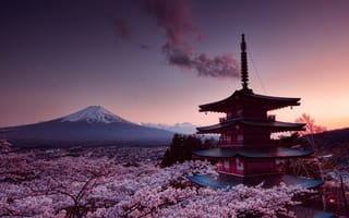 Картинка гора Фудзи, вулкан, цветение вишни, цветок, облако