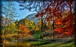 Картинка отражение, осень, природный ландшафт, растительность, природа