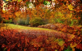 Картинка Осень в Новой Англии, осень, природа, лист, листопадные