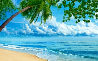 Картинка пляж, природа, тропическая зона, дневное время, океан