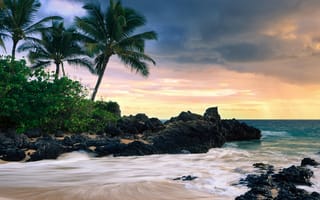 Картинка гавайский пляж, водоем, берег, море, тропическая зона