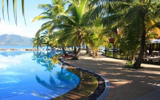 Обои плавательный бассейн, прибежище, Пальма, отпуск, тропическая зона