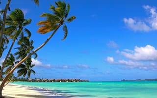 Картинка Мальдивы, Природа, Тропики, Пляж, Лето
