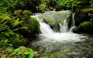 Картинка Природа, Водопад, Грузия, Mtirala Adjara, Парк