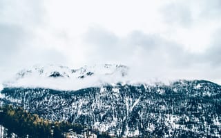 Картинка Природа, Деревья, Снег, Горы, Туман