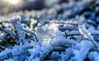 Картинка Снег, Макро, Иней, Пузырь, Шар