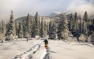 Картинка Зима, Природа, Горы, Лыжник, Снег