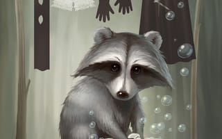 Картинка Арт, Милый, Енот