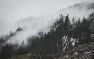 Картинка Природа, Деревья, Облака, Склон, Гора, Туман