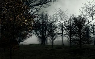 Картинка Деревья, Арт, Лес, Туман, Темный