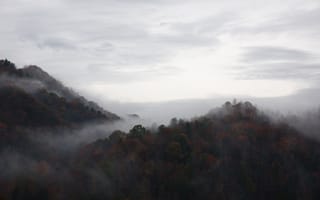 Картинка Природа, Деревья, Туман, Небо, Горы