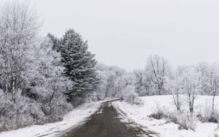 Картинка Пейзаж, Зима, Снег, Деревья, Дорога, Природа