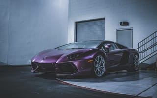 Обои Ламборджини (Lamborghini), Тачки (Cars), Спорткар, Фиолетовый