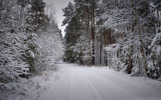 Обои Зима, Природа, Заснеженный, Лес, Снег, Дорога