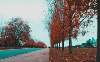 Картинка Природа, Осень, Парк, Фотошоп, Аллея, Контраст