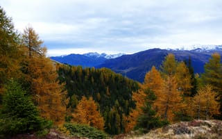 Обои Природа, Деревья, Лес, Горы, Осень