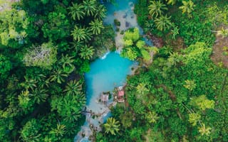 Картинка Пальмы, Природа, Филиппины, Сикихор, Тропики, Вид Сверху, Остров