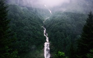 Картинка Природа, Деревья, Туман, Водопад